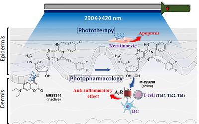 Optical Control of Adenosine A3 Receptor Signaling: Towards a Multimodal Phototherapy in Psoriasis?